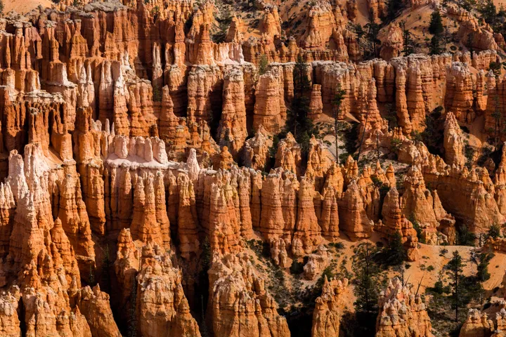 Bryce Canyon hoodoos glowing orange in the sunlight