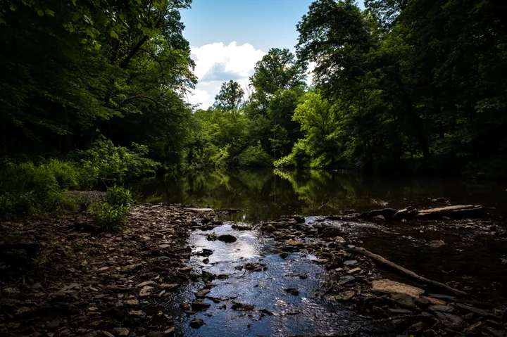 Quiet Tennessee creek reflecting trees and summer sky