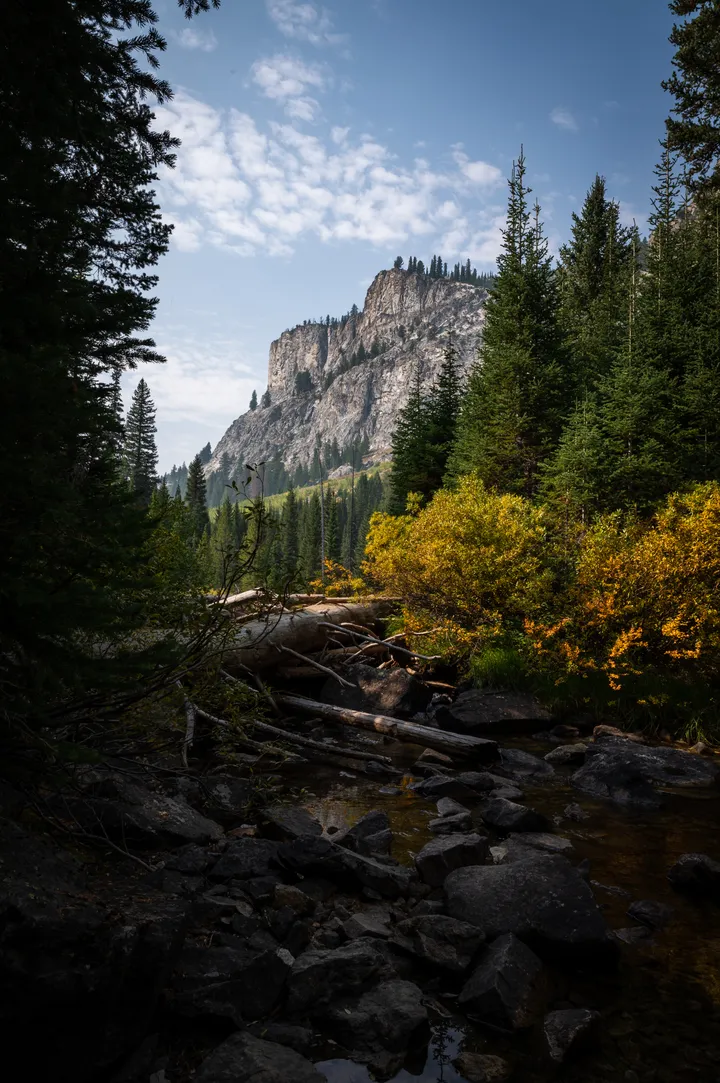 Creek bed and fallen timber framing a granite peak through the trees