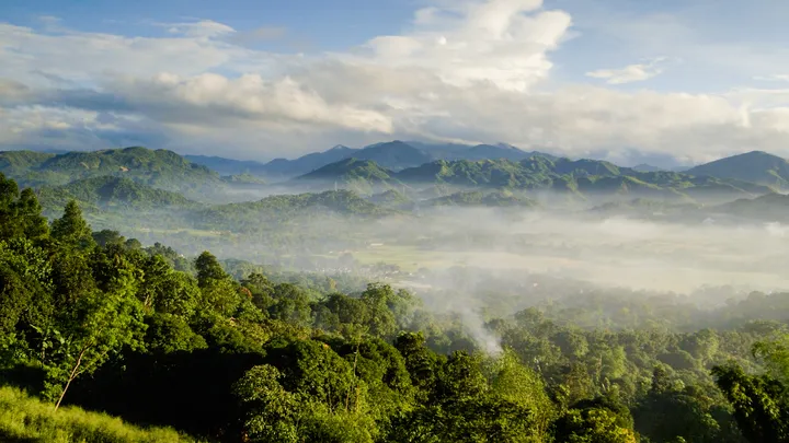 Misty valley at sunrise in the Sierra Madre mountains